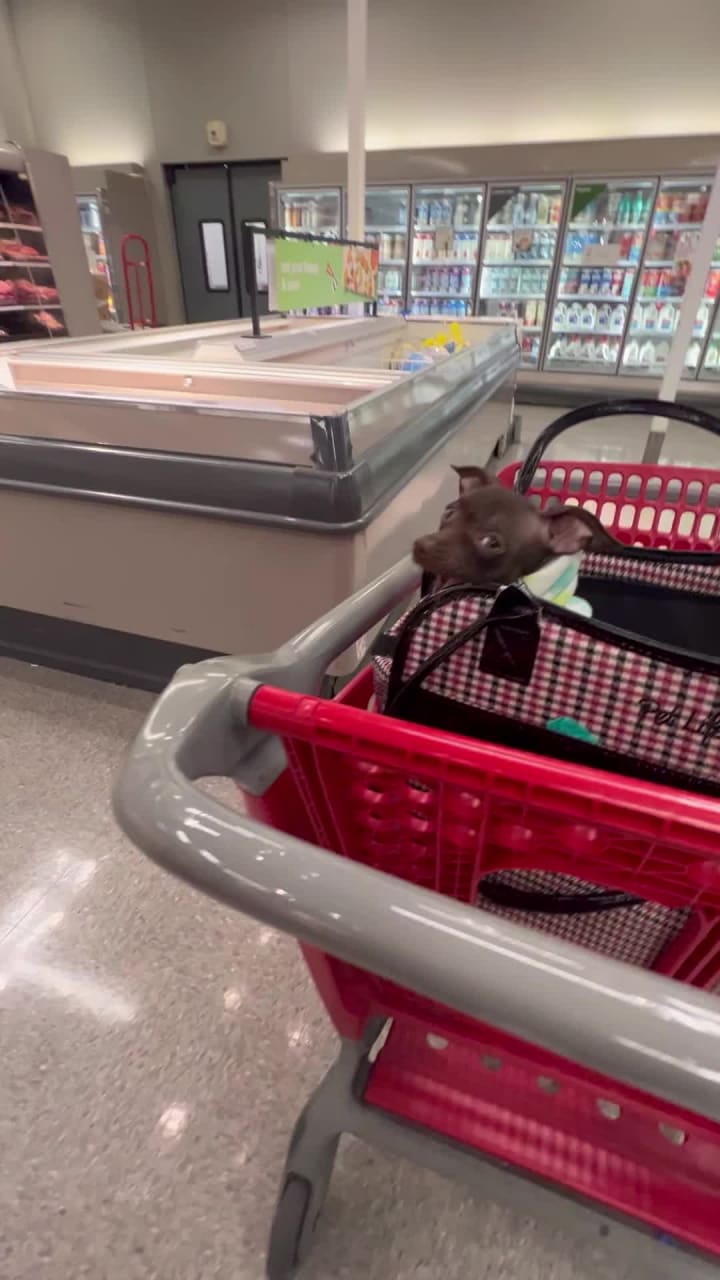 Video review of Target