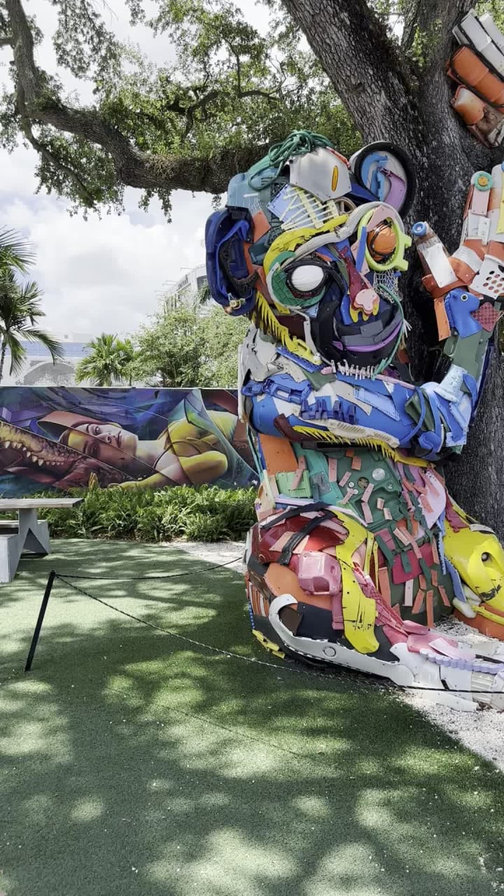 Video review of Wynwood Walls