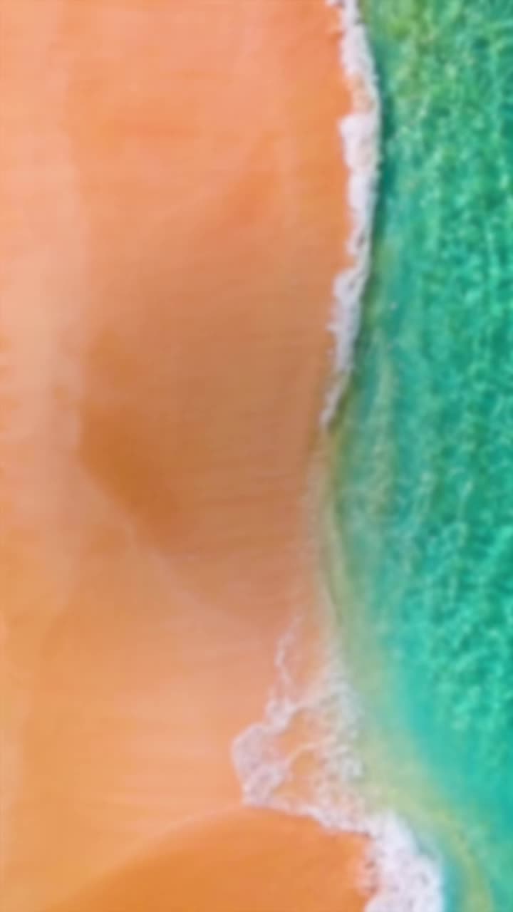 Video review of Purve Donut Shop