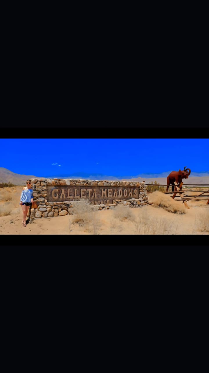 786 Palm Canyon Dr. Borrego Springs, CA 92004