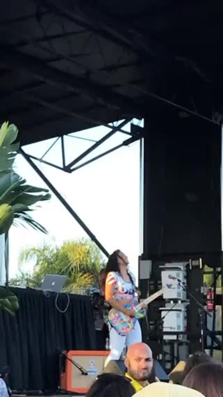 Video review of Venice Canals