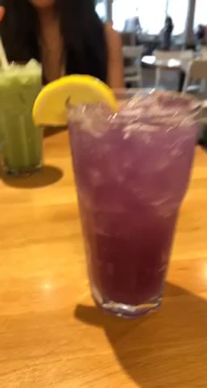 Video review of Parakeet Cafe