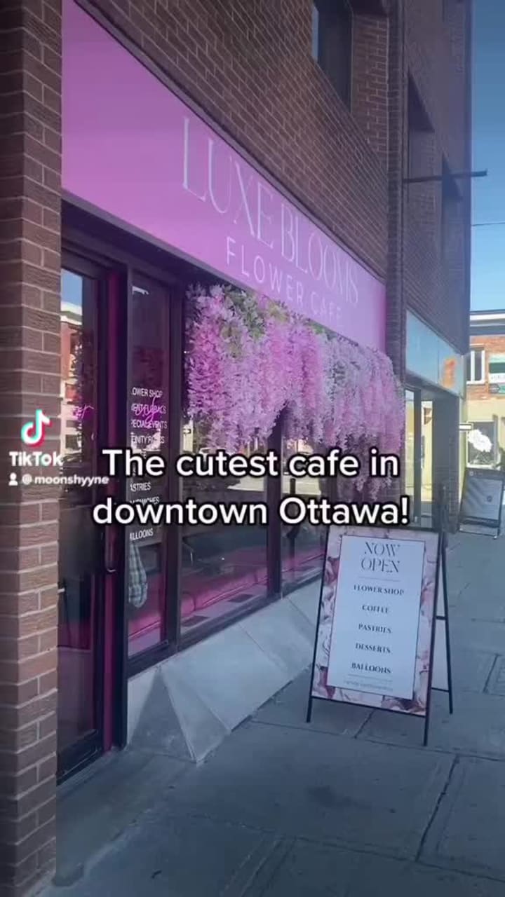 Luxe Blooms Flower Cafe