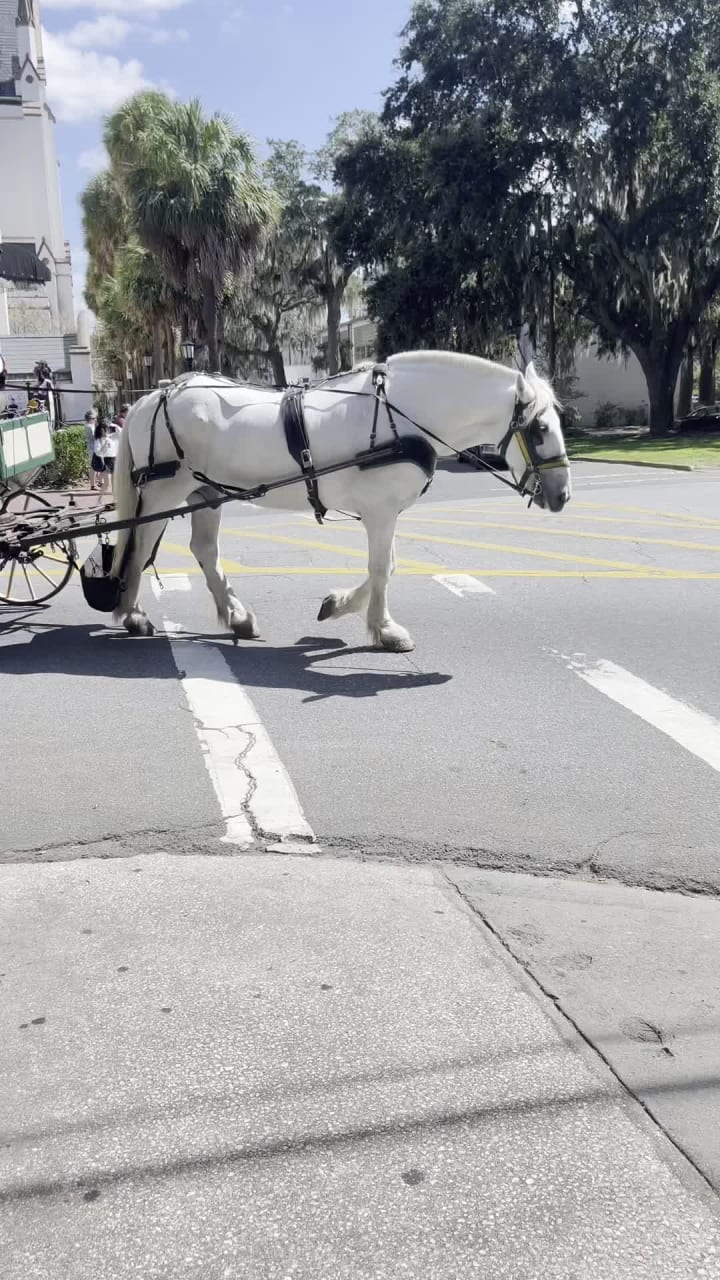 Savannah Historic District