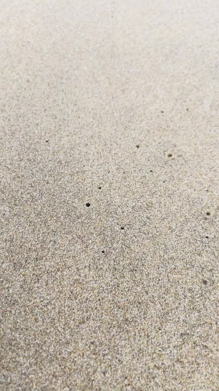 Durban Promenade, KZN, South Africa