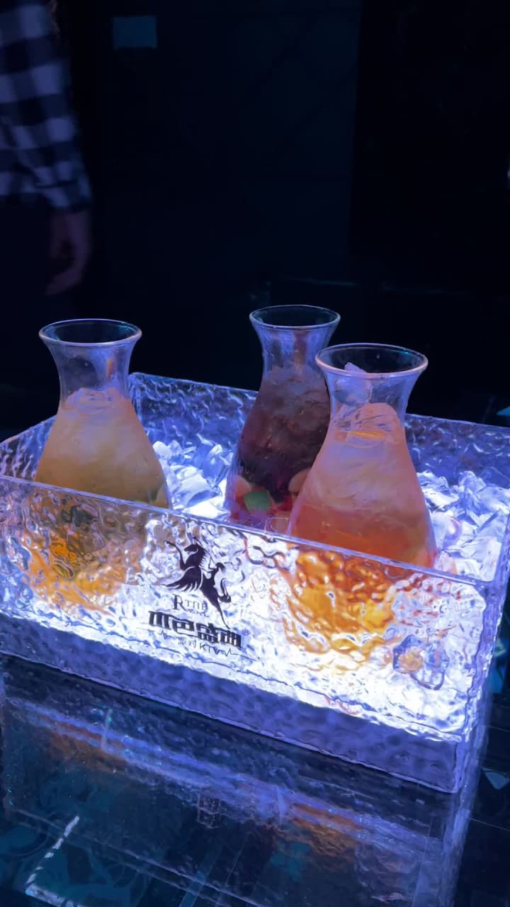 Video review of The Real KTV