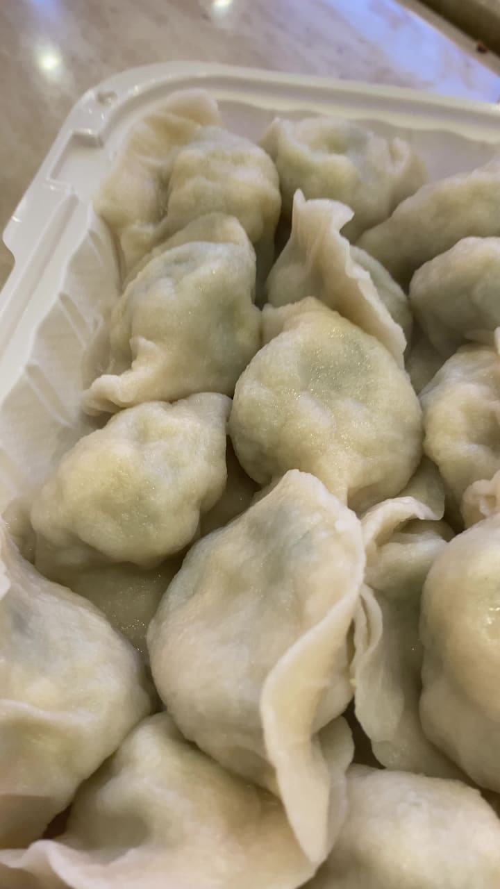 chinese and korean dumplings 