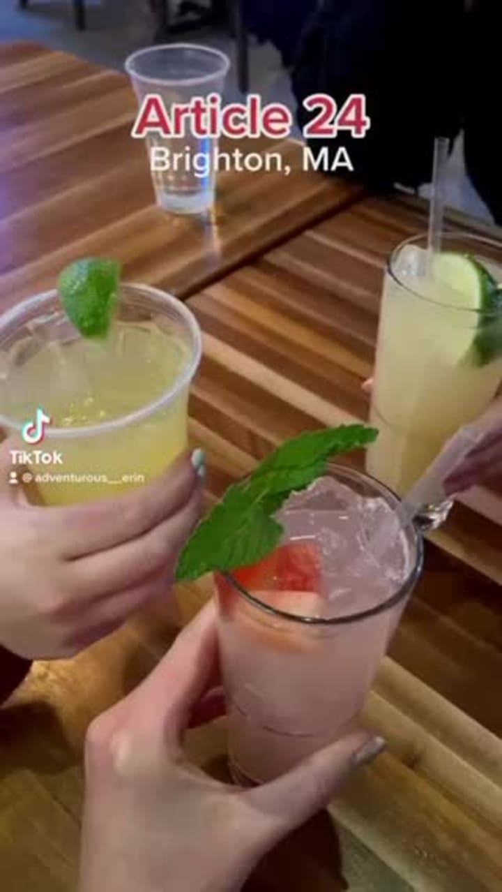 Video review of Article 24