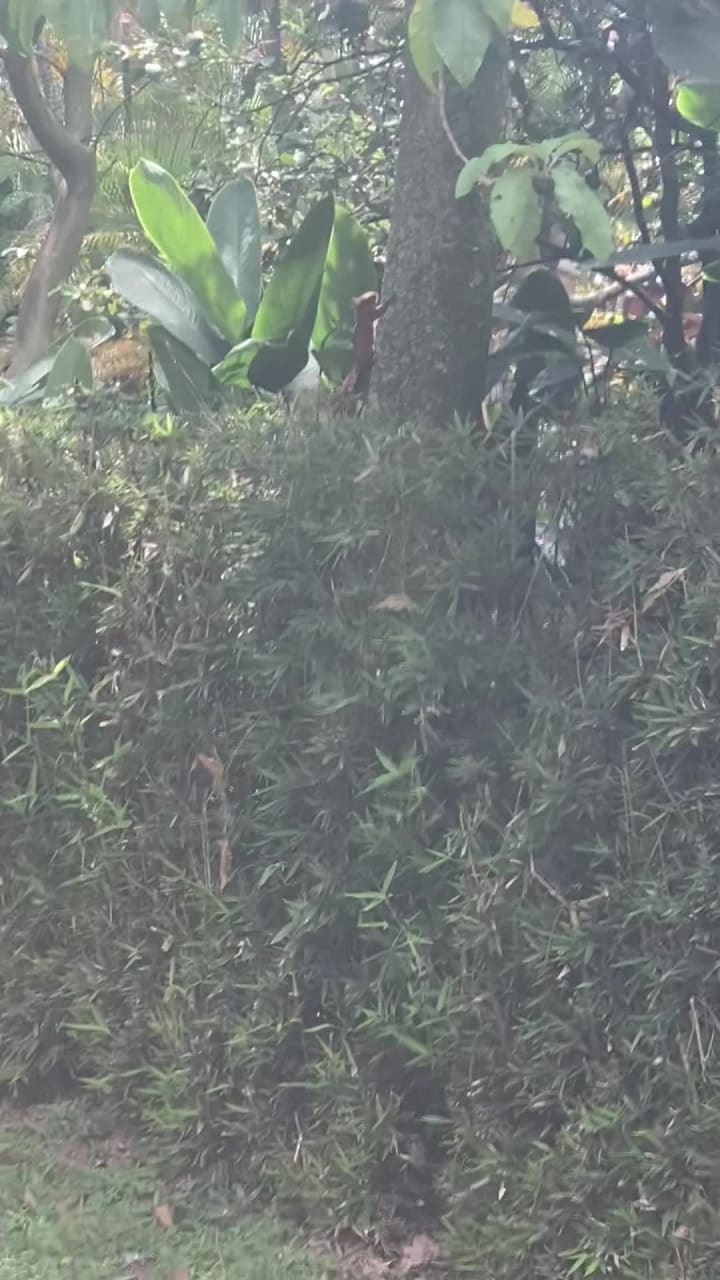 Parque Ambiental La Frontera