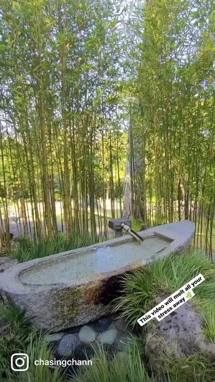 Video review of Japanese Tea Garden