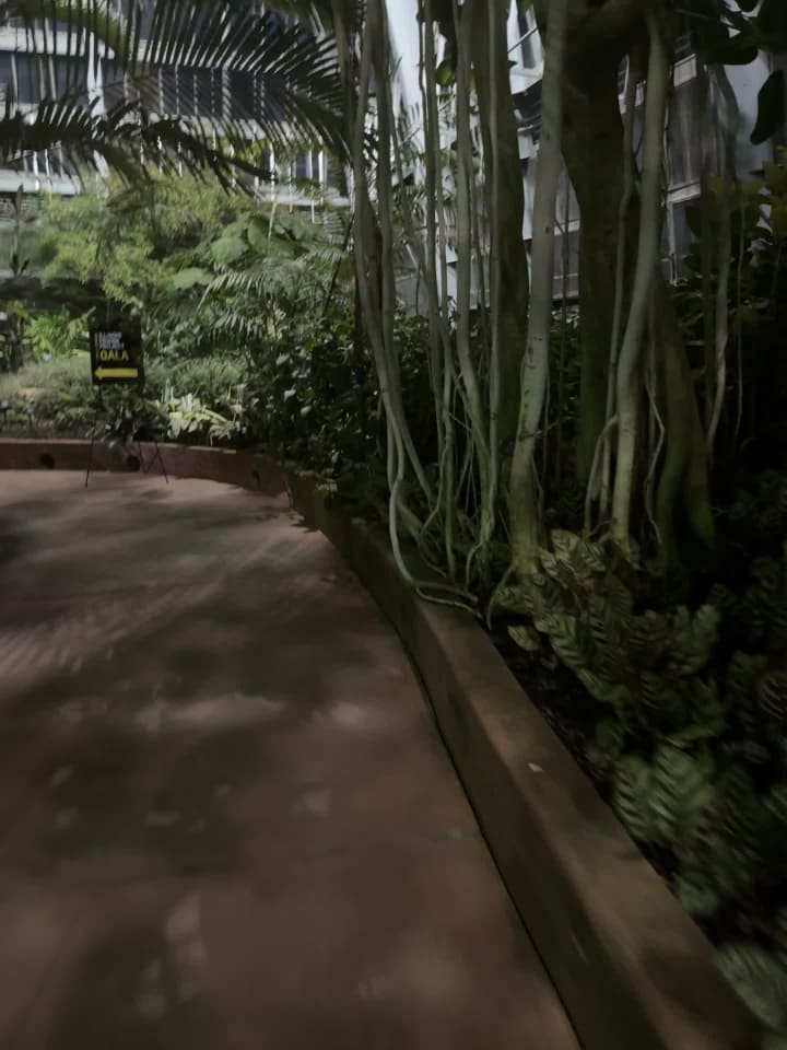 Garfield Park Conservatory