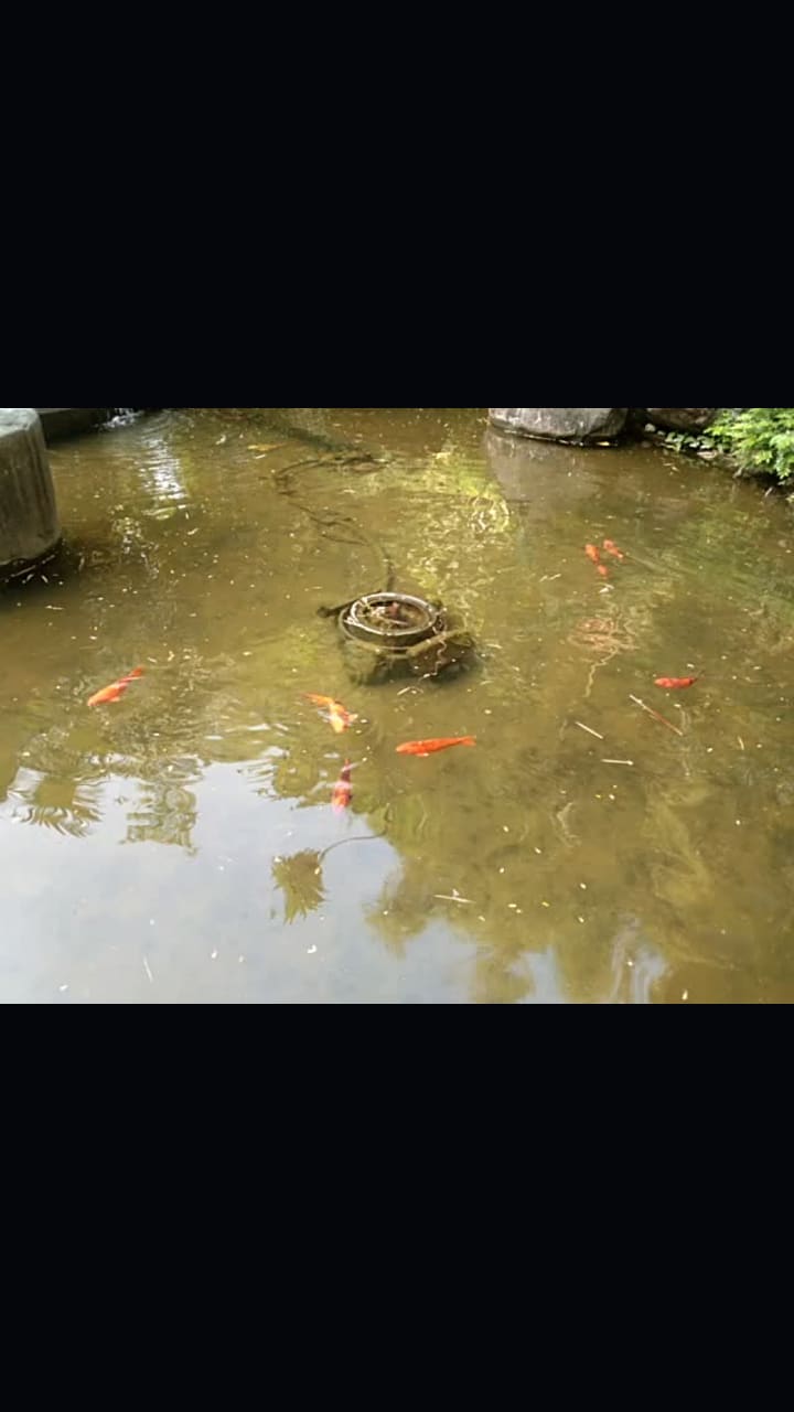 Greenbelt (Ayala Center)