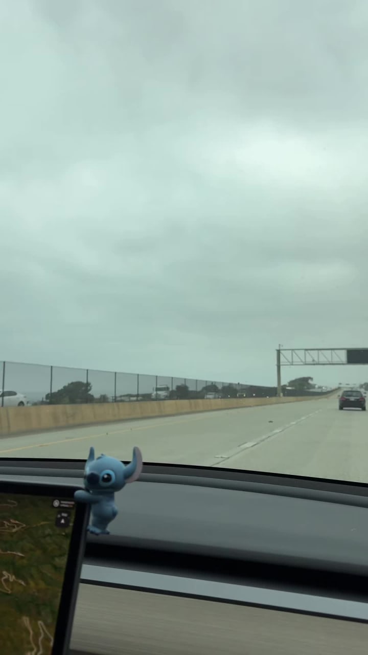 Disney California Adventure Park