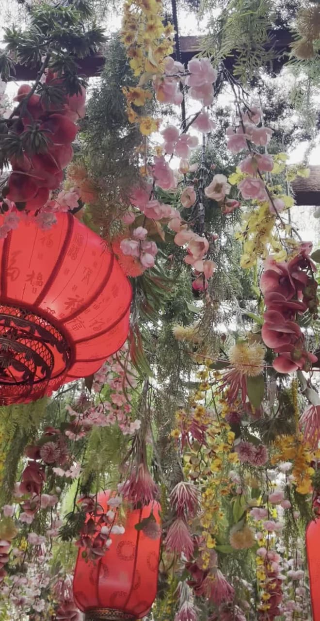 Video review of Dumpling Inn