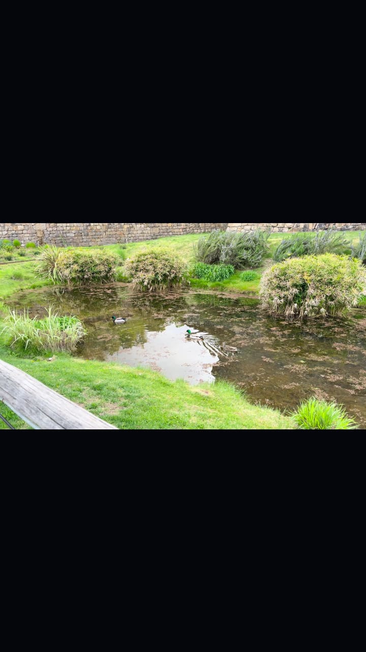 Castle Torture Chamber