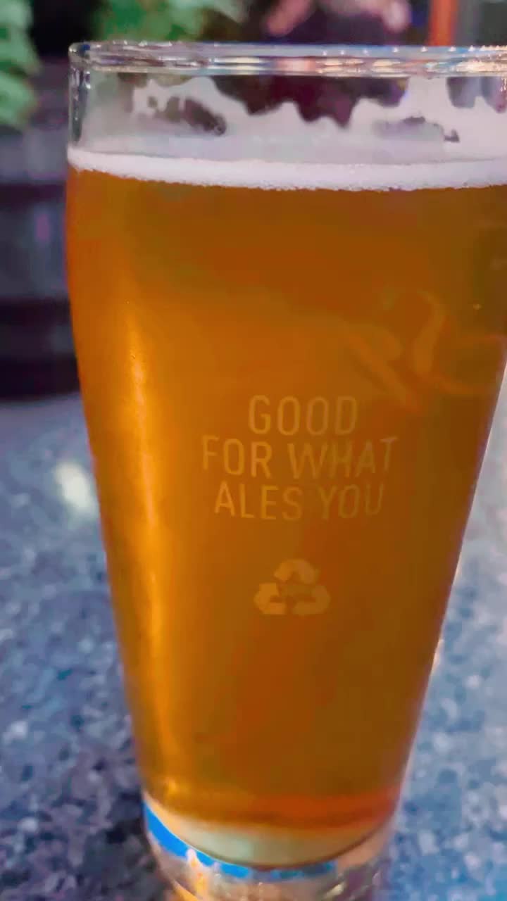 Video review of Squatters Pub Brewery