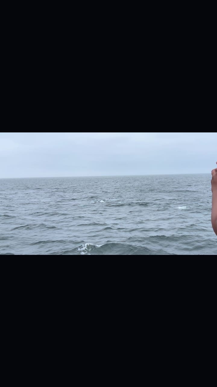 Video review of Provincetown Pier