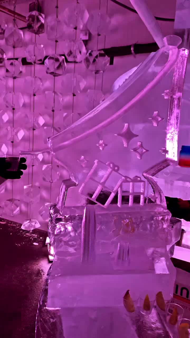 The Enchanted Forest