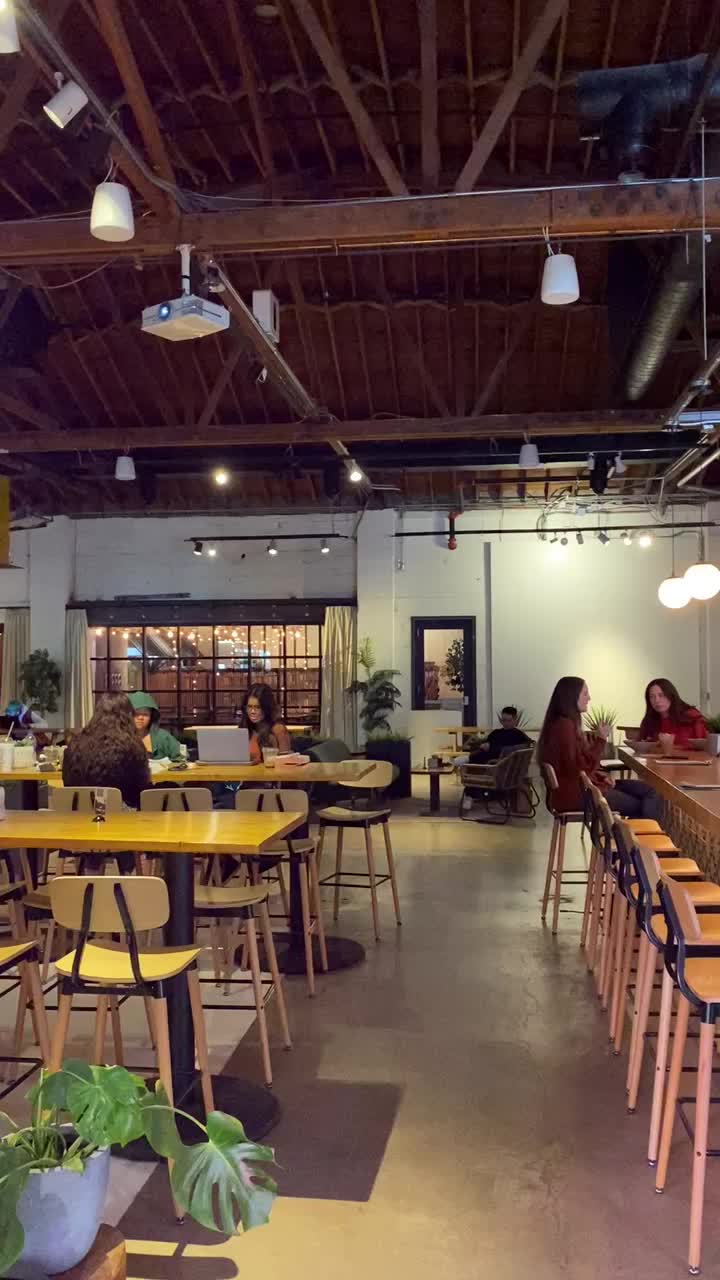 Video review of Monorchid