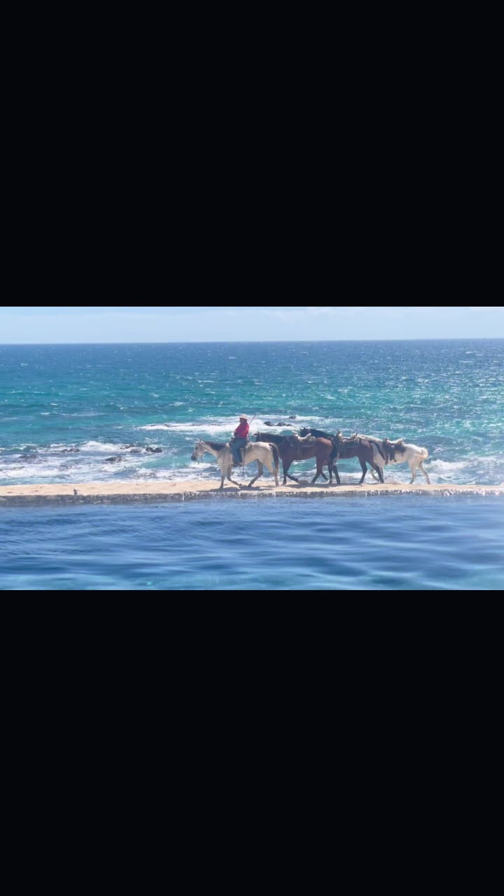 Solaz Los Cabos
