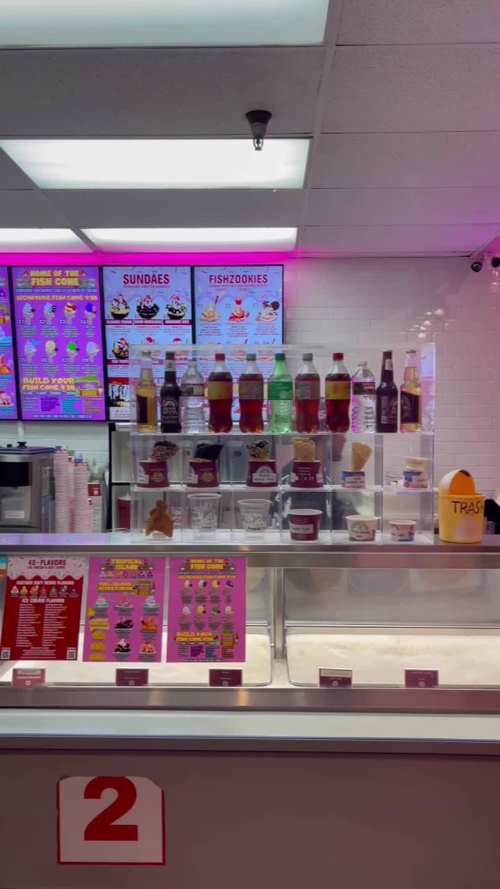 Video review of Coastal Cone