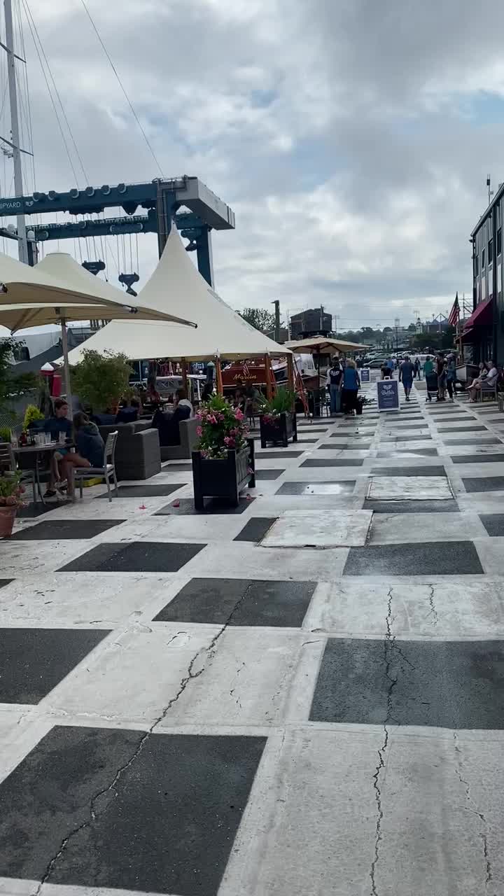 Video review of Belle's