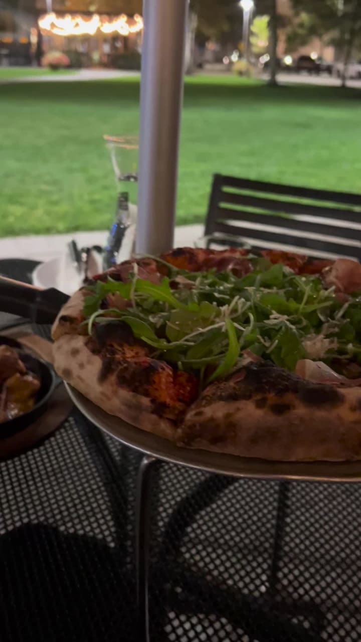 Video review of Area Four