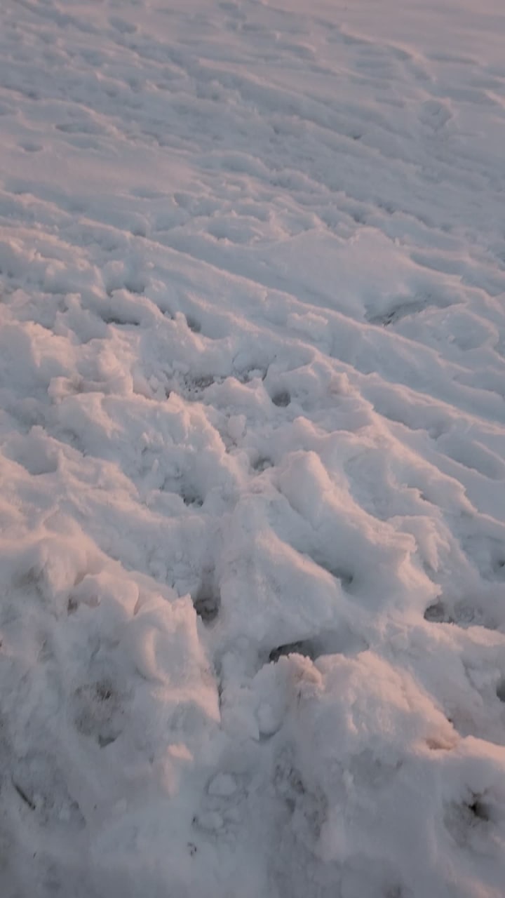 Video review of Sloan's Lake Park