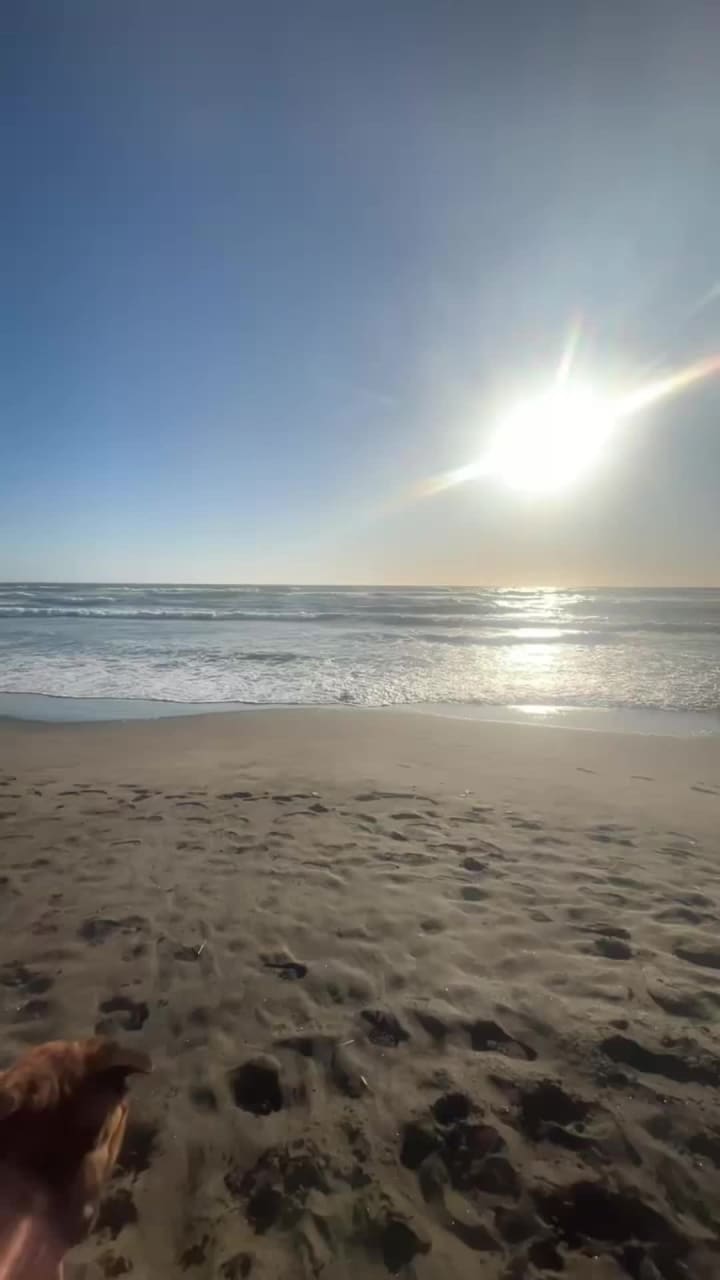 Half Moon Bay State Beach