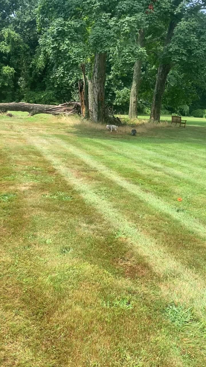 Nassau County Museum of Art