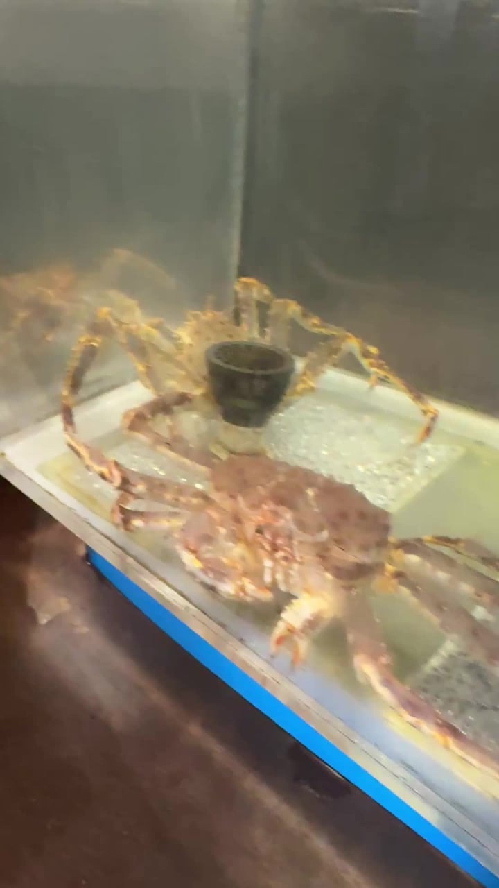 Video review of Newport Seafood Restaurant