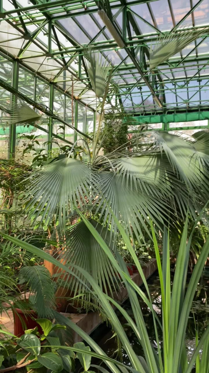 "Dimitrie Brândză" Botanical Garden