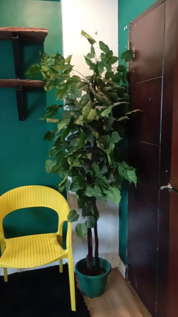 The Loft and Garden Deck