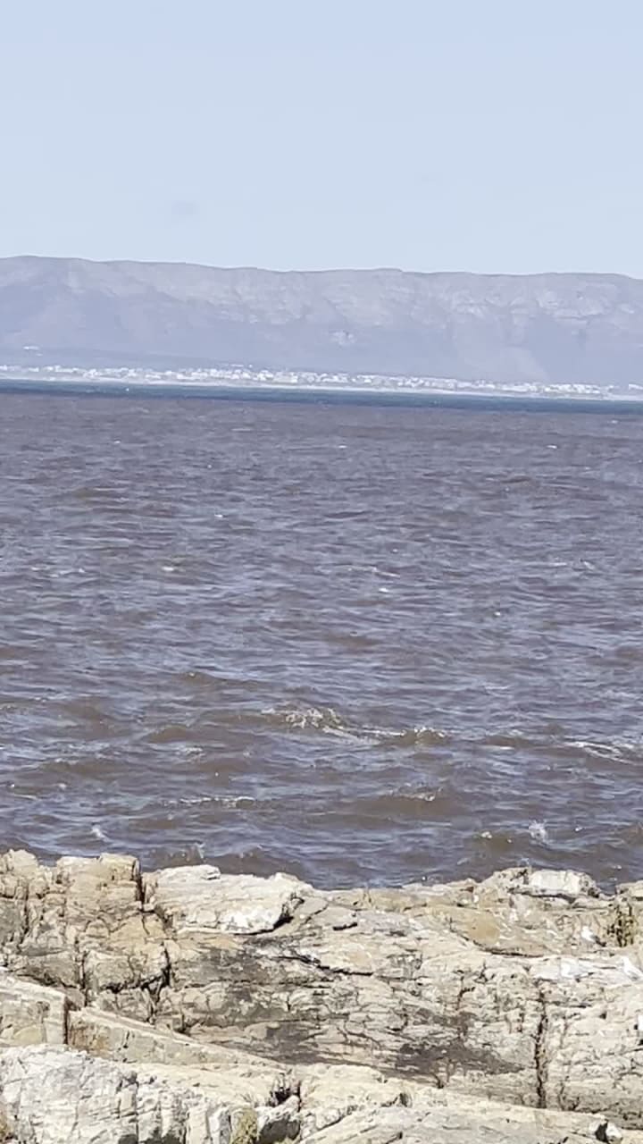 Video review of Hermanus Whale Lookout