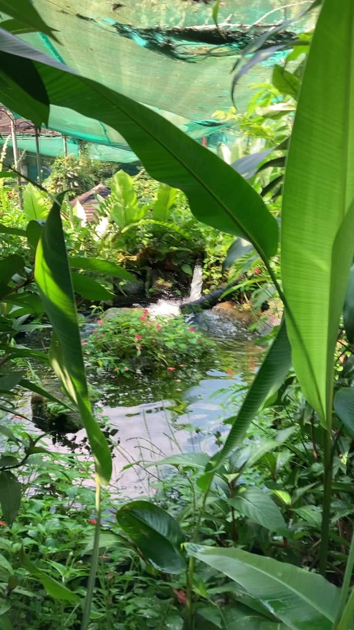 Butterfly Park (Taman Rama-Rama)