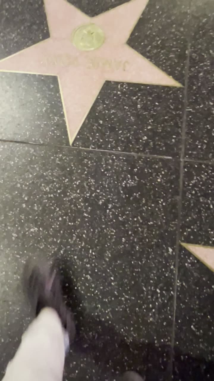 Video review of Hollywood Walk of Fame