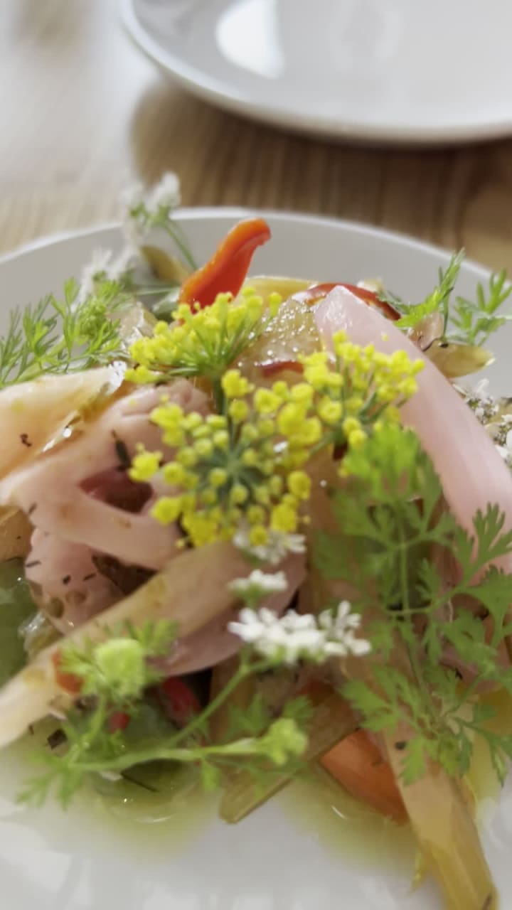 Video review of Pizzeria Sei