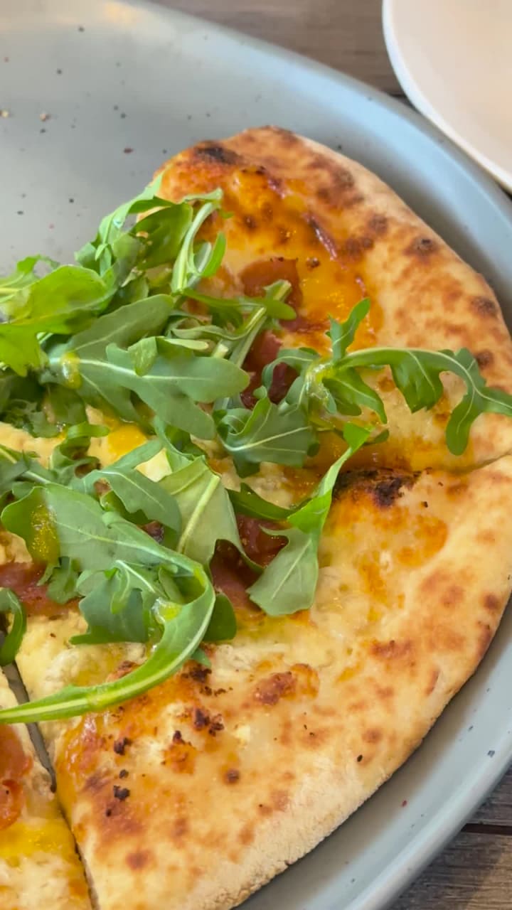 Video review of Good Dog Houston