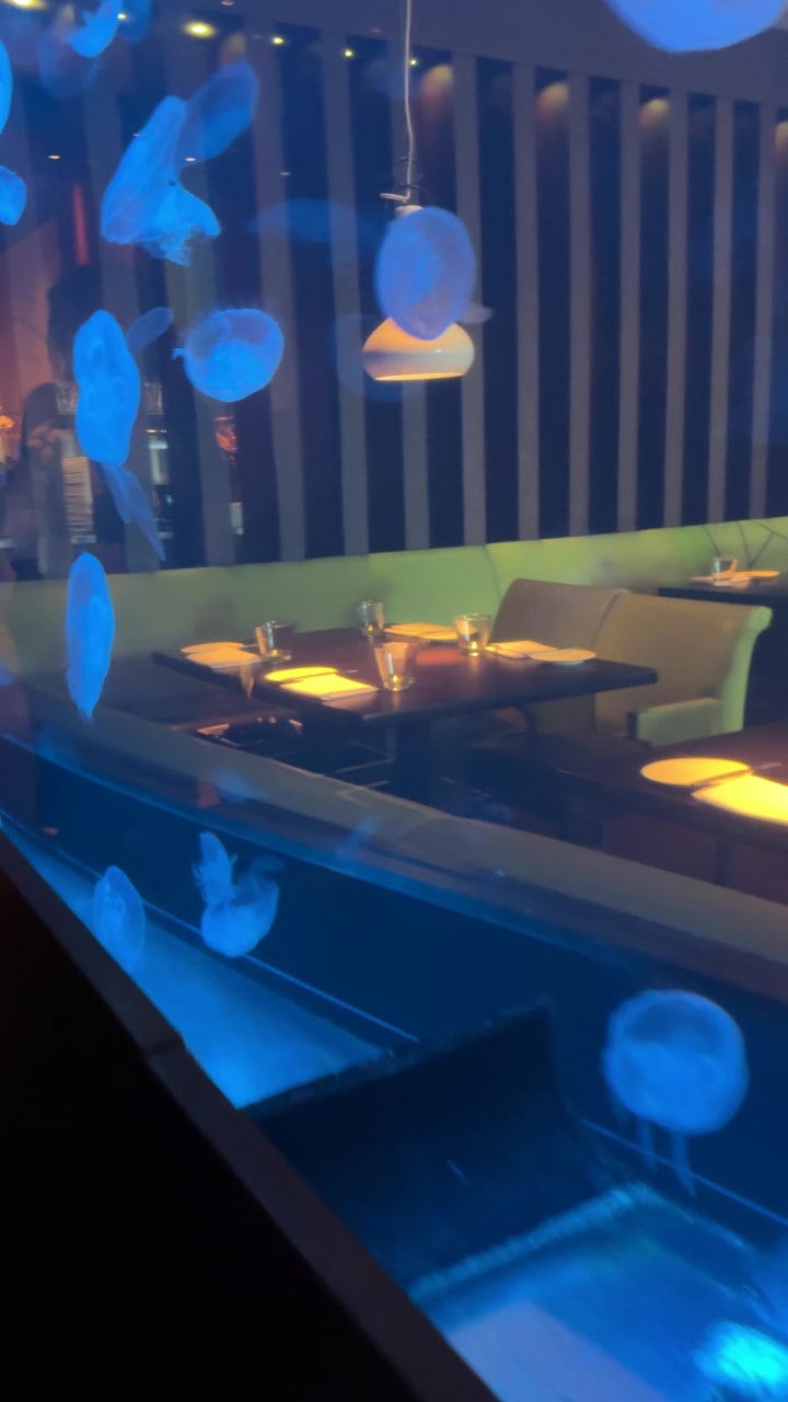 Video review of Steak 954