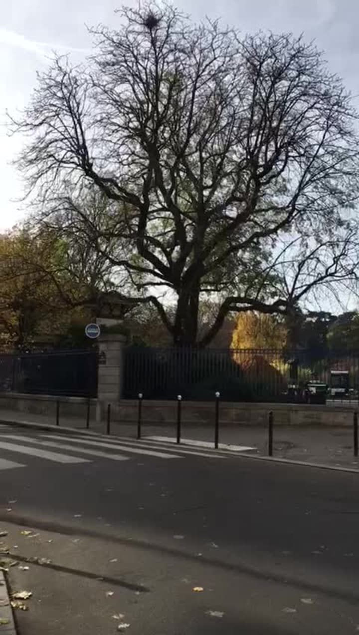 Parc Rives de Seine