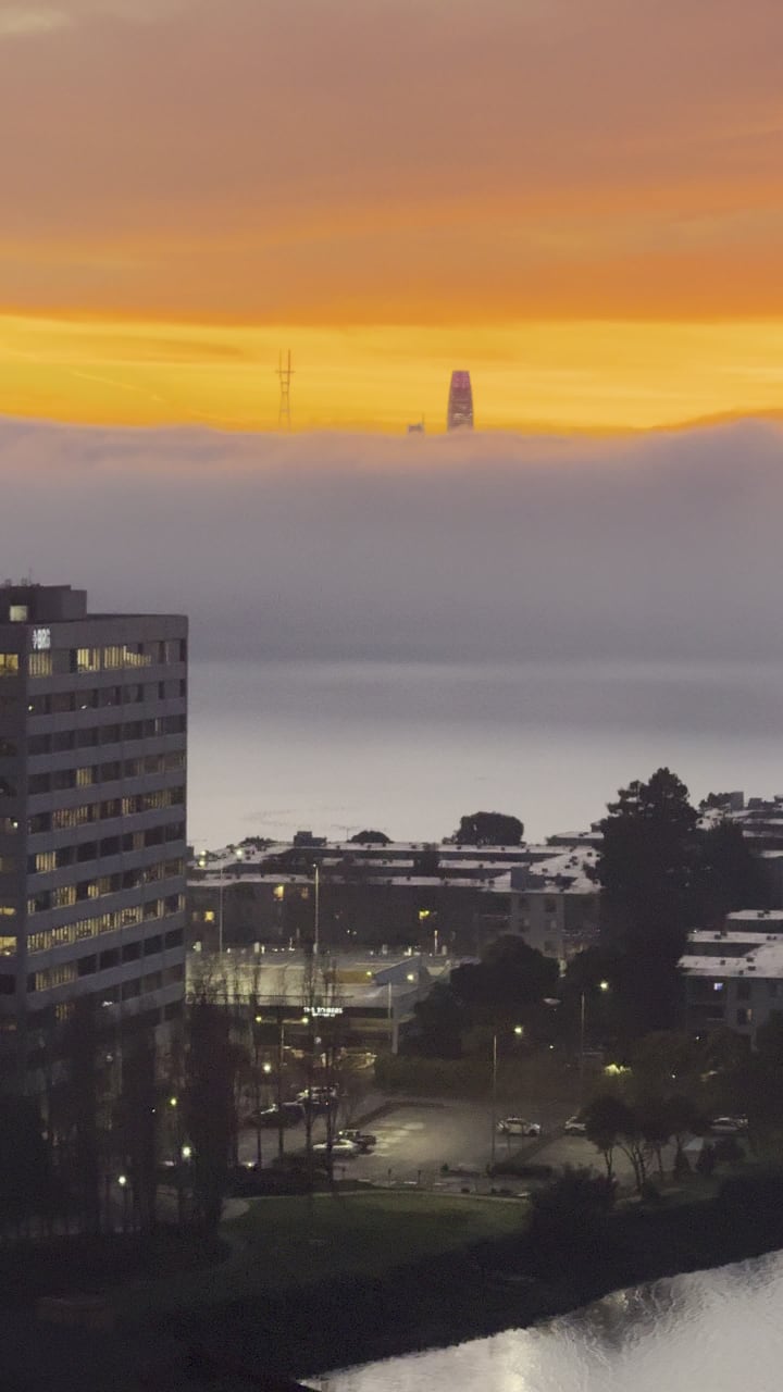 Video review of Emeryville Marina