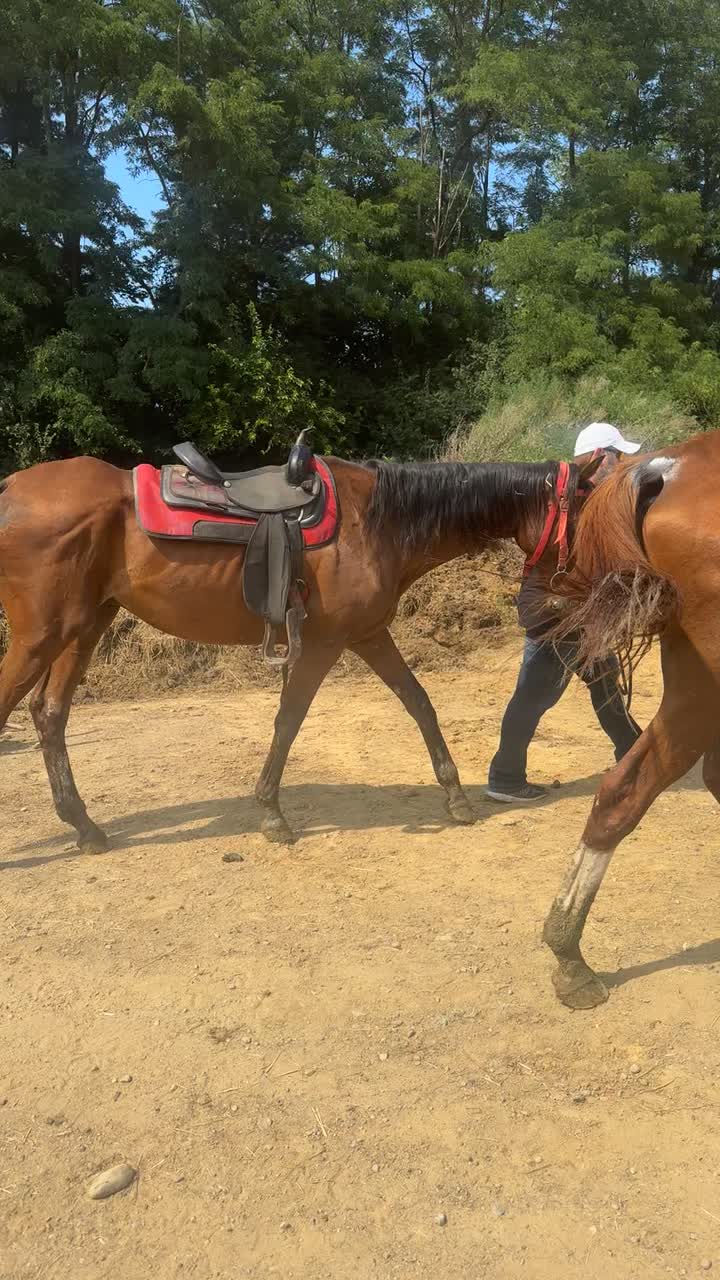 Horse & Barrel Bourbon House