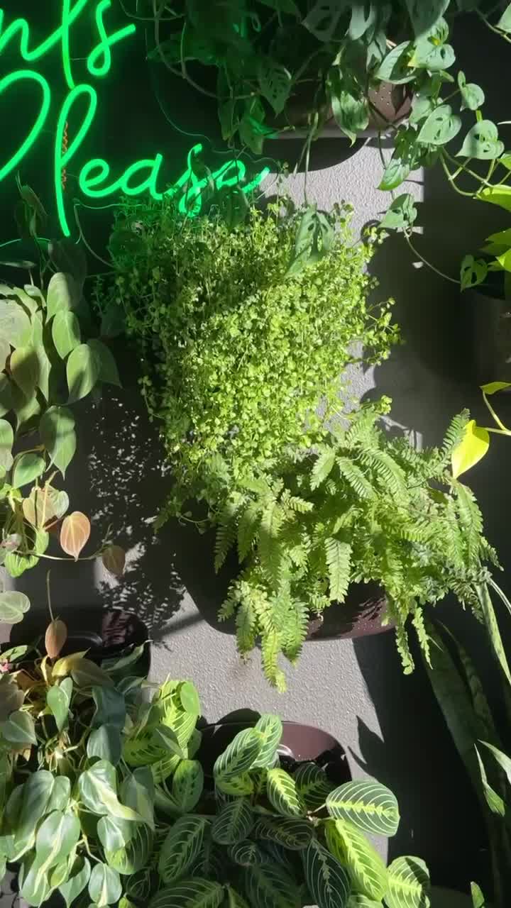 Video review of Watercourse Foods