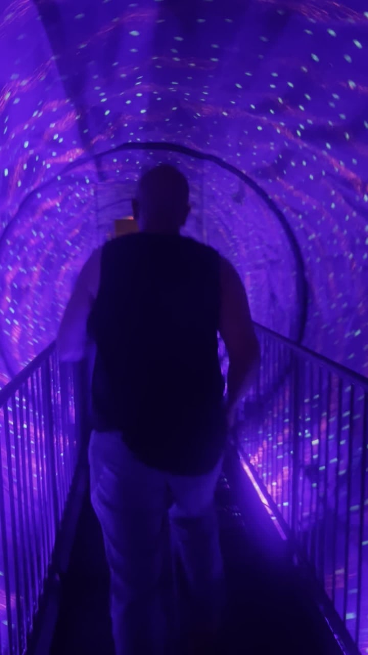 Video review of Ripley's Believe It or Not!