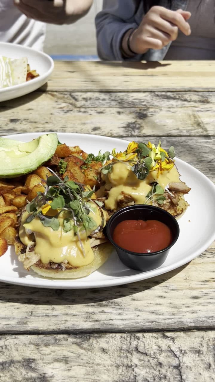 Video review of The Local Pacific Beach