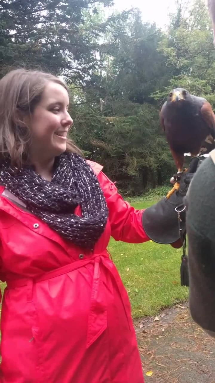 Ashford Castle School of Falconry