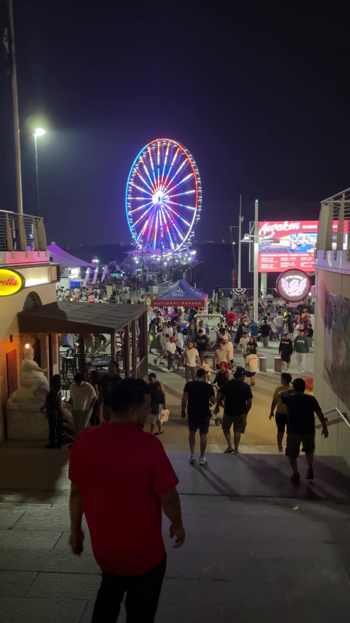 Video review of National Portrait Gallery