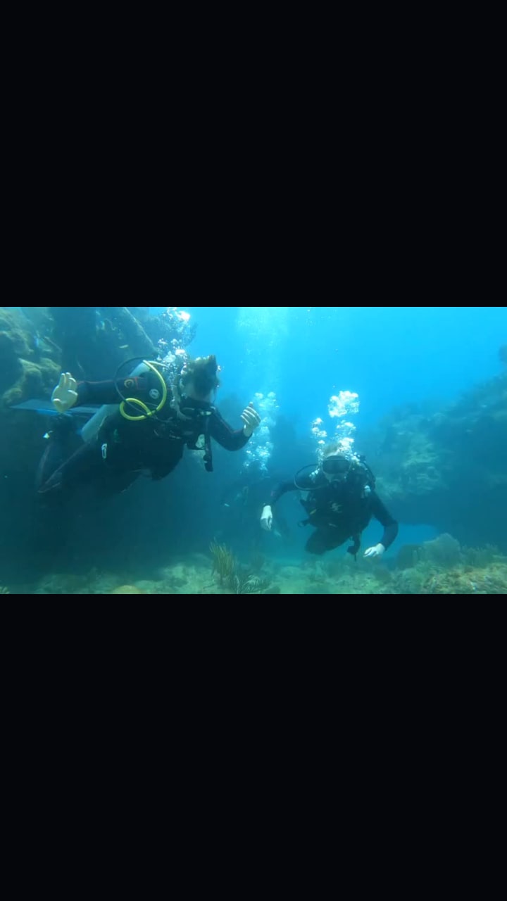 Tulum Cantina and Mexican Cuisine