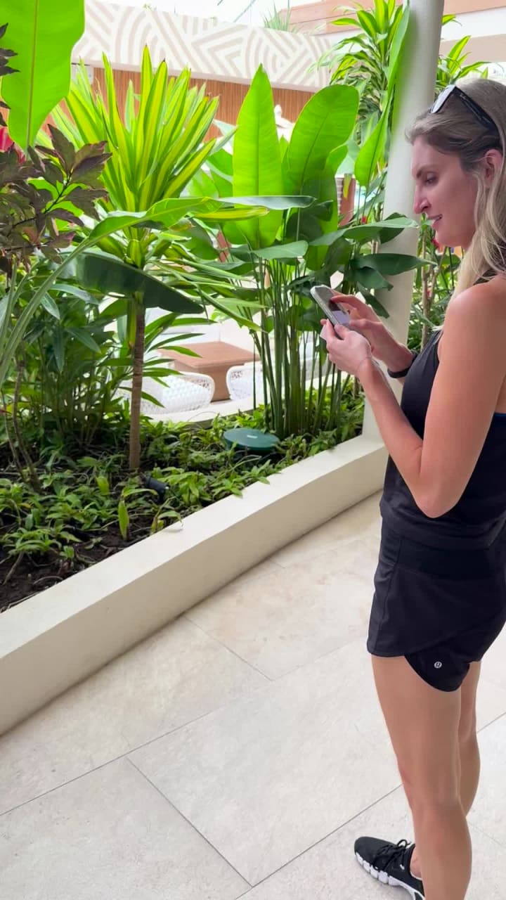 The Westin Bora Bora Resort & Spa