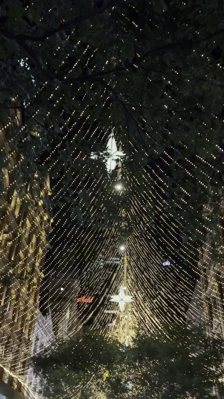 Video review of Pitt Street Mall